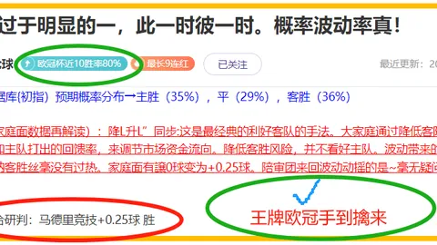 荷甲赛事分析：埃因霍温VS兹沃勒专家推荐